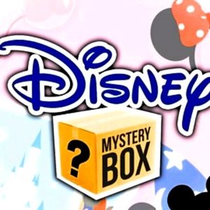 Disney mystery boxes